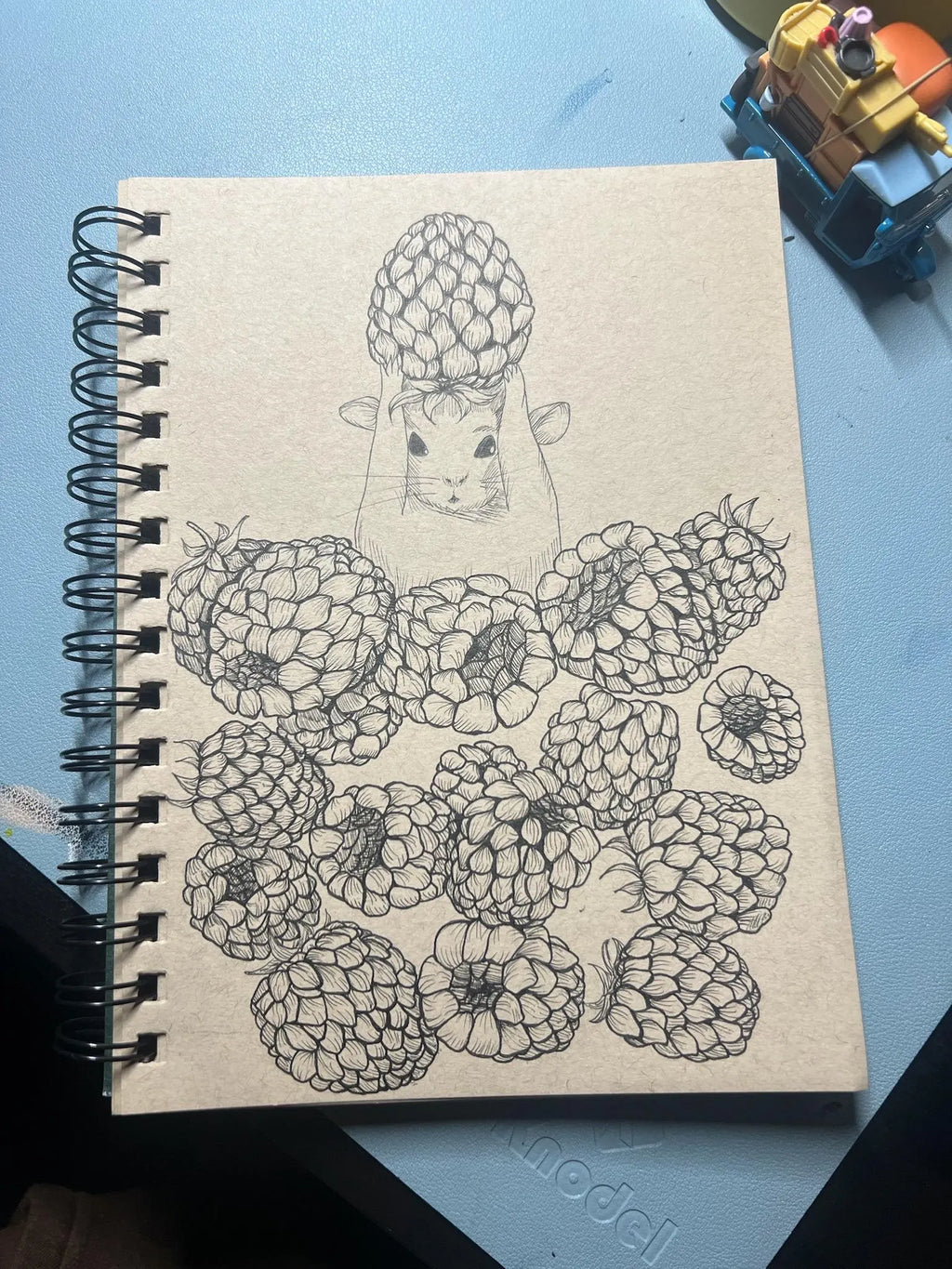 Raspberry King
